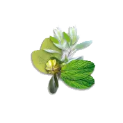 Pur Massageolie Luxe 100% natuurlijk - energiek