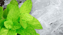 Camylle Ice Bits - 100% natuurlijke mentholkristallen 100 gram
