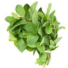 Infrarood - Aromas Naturales Mint