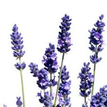 Infrarood - Aromas Naturales Lavendel