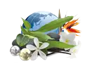 Camylle stoomgeur Polynésie 100% natuurlijk - revitaliserend